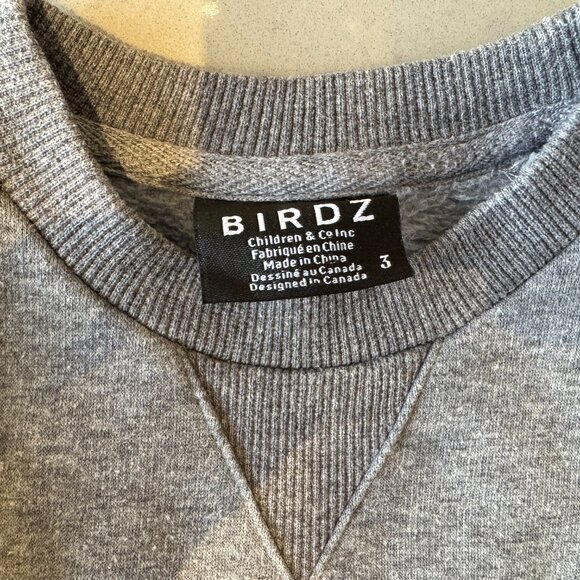 Birdz Crewneck sweater with Ski bear Pattern, size 3T - Picture 2 of 2